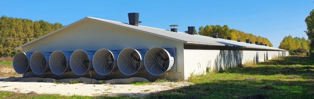 Exterior view of a large livestock building equipped with multiple ventilation fans.