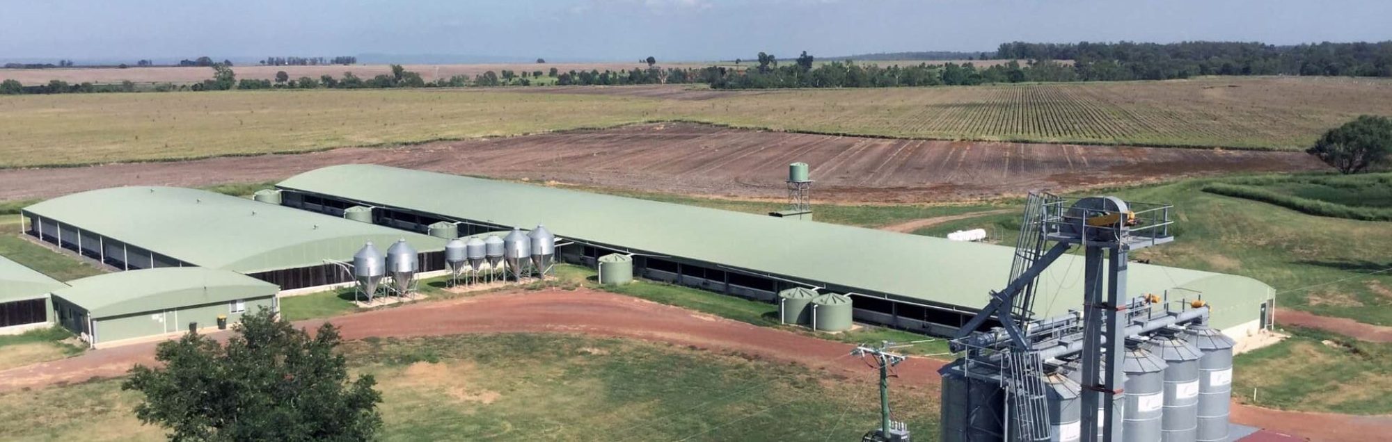 Aerial view of a large, modern livestock farm with ventilation and climate control systems.